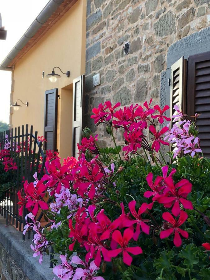 Mamma Laura Apartment Vagliagli Exterior photo